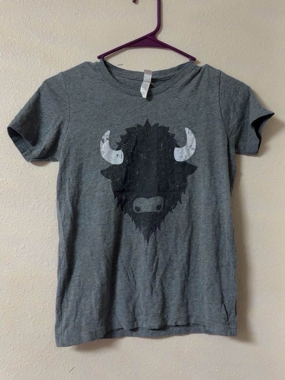 Kids Gray Graphic Buffalo Tee